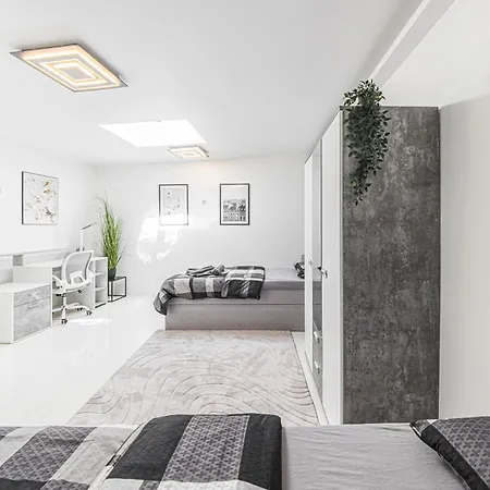 P3 Premium-lounge, 5 Zimmer, 140 Qm, Parkplatz Apartment Halle (Saale)
