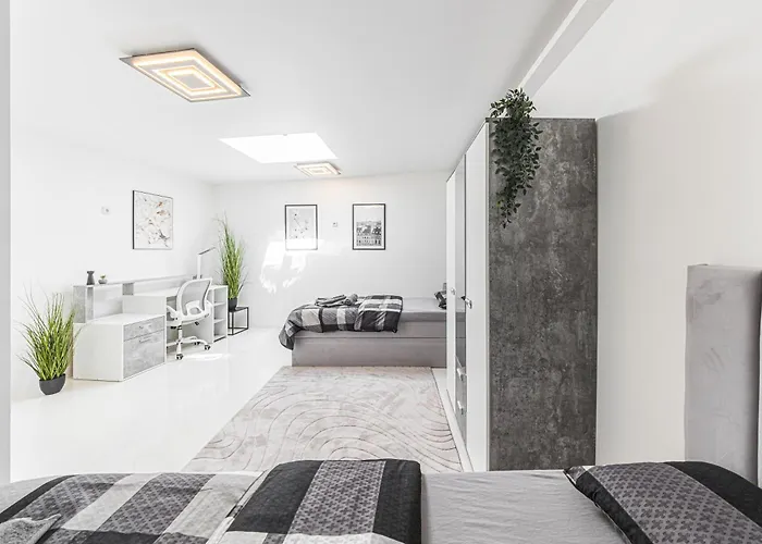 P3 Premium-lounge, 5 Zimmer, 140 Qm, Parkplatz Apartment Halle (Saale)